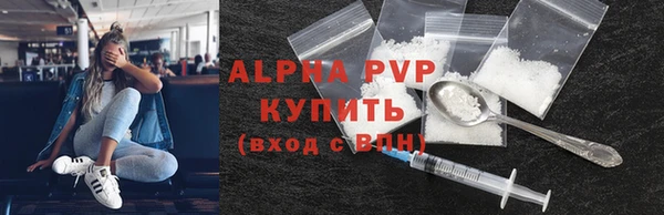 прущие грибы Медногорск