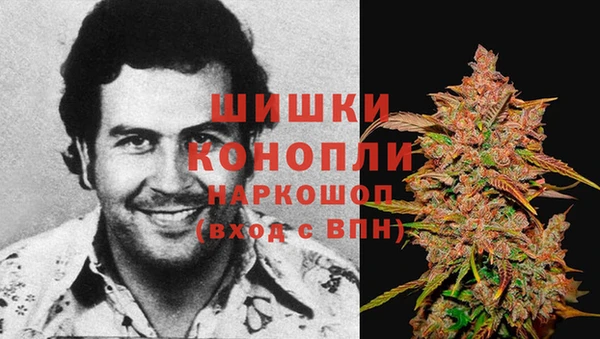прущие грибы Медногорск