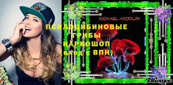 прущие грибы Медногорск