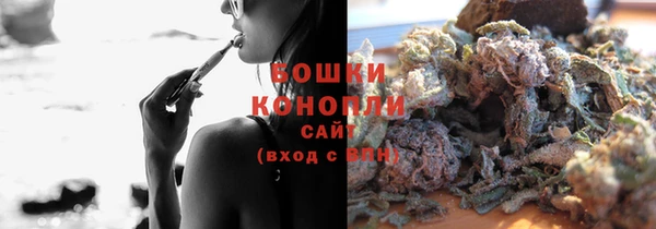 прущие грибы Медногорск