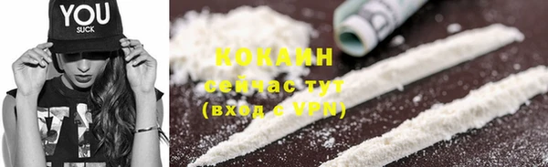 прущие грибы Медногорск