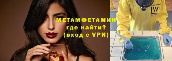прущие грибы Медногорск