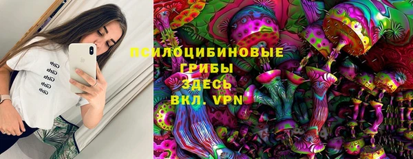 прущие грибы Медногорск