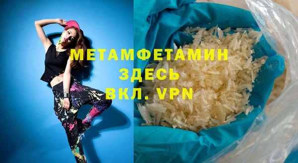 прущие грибы Медногорск