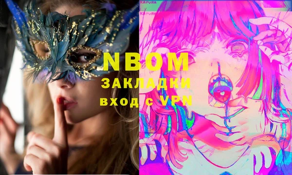 прущие грибы Медногорск