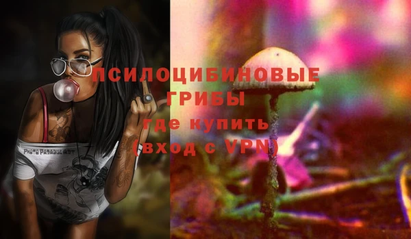 круглые Рославль