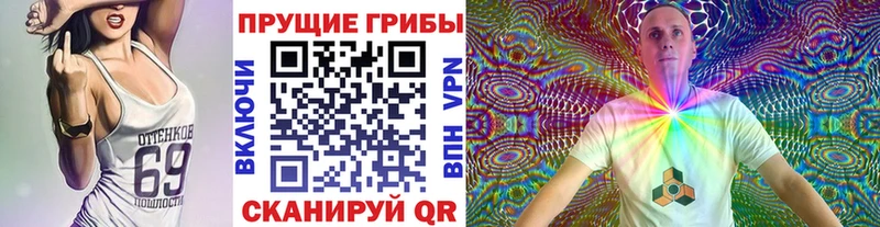 Псилоцибиновые грибы GOLDEN TEACHER Ленинградская